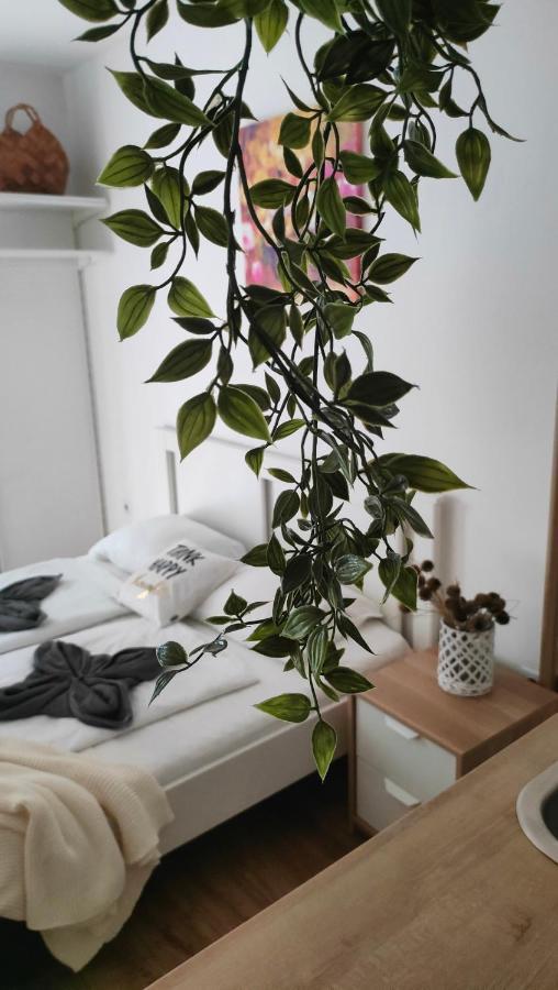 Super Cozy & Central Apartment Budapest Exterior foto